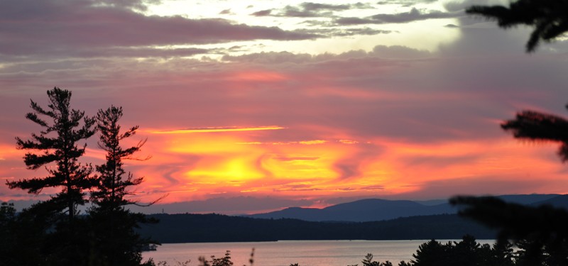 Multiple Goals Addressed